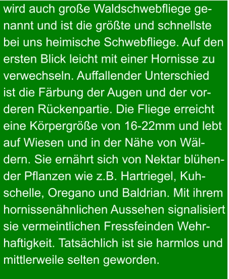 wird auch große Waldschwebfliege ge- nannt und ist die größte und schnellste bei uns heimische Schwebfliege. Auf den ersten Blick leicht mit einer Hornisse zu verwechseln. Auffallender Unterschied ist die Färbung der Augen und der vor- deren Rückenpartie. Die Fliege erreicht eine Körpergröße von 16-22mm und lebt auf Wiesen und in der Nähe von Wäl- dern. Sie ernährt sich von Nektar blühen- der Pflanzen wie z.B. Hartriegel, Kuh- schelle, Oregano und Baldrian. Mit ihrem  hornissenähnlichen Aussehen signalisiert  sie vermeintlichen Fressfeinden Wehr- haftigkeit. Tatsächlich ist sie harmlos und mittlerweile selten geworden.